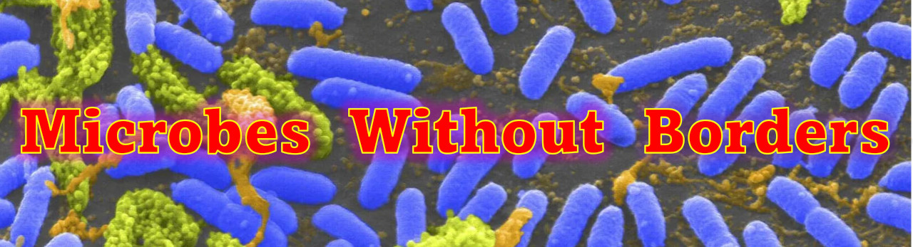 Microbes Without Borders
